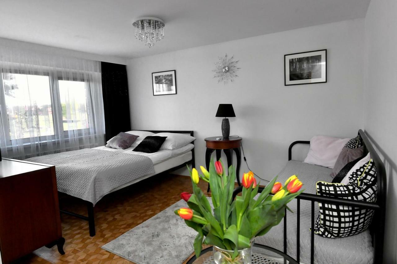 Apartament Spytkowice - Energylandia Krakow Oswiecim Wadowice公寓 外观 照片